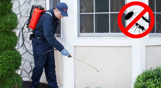 Kozluk Kene İlaçlama böcek ilaçlama ve haşere kontrolü — ilaclama-tr.com